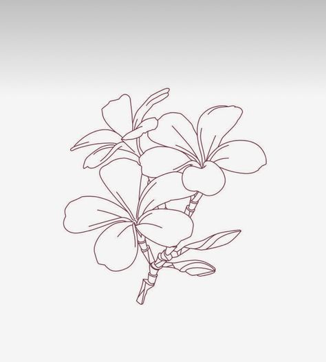 Tiare Flower Drawing, Tropical Bouquet Tattoo, 5 Petal Flower Tattoo, Thailand Flower Tattoo, Frangipani Flower Drawing, Tiare Flower Tattoo, Frangipani Flower Tattoo, Plumeria Flowers Tattoo, Jasmine Flower Drawing Tattoo