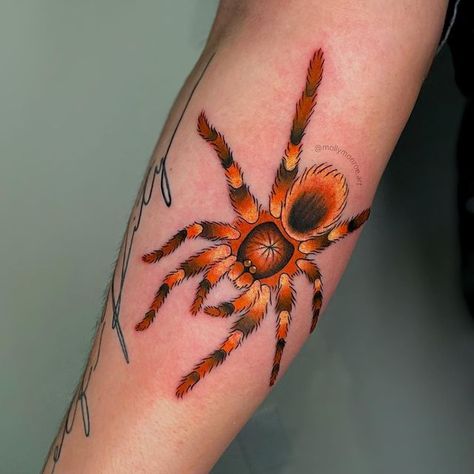 Spider Tattoo Tarantula, Spider Knee Cap Tattoo, Fuzzy Spider Tattoo, Tarantula Tattoo Design, Traditional Spider Tattoo, Bug Core, Tx Tattoo, Tarantula Tattoo, Lillies Tattoo