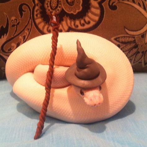 Snakes In Hats, Snakes With Hats, Cute Snakes, Danger Noodle, Baby Snakes, Danger Noodles, Pretty Snakes, Ball Pythons, Corn Snake