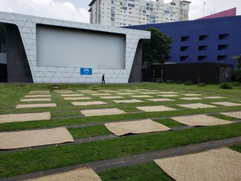 Los mejores lugares para ver cine al aire libre esta pandemia | Dónde Ir Stepping Stones, Outdoor Decor, Travel