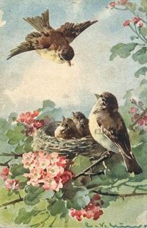 Beautiful vintage card ... Images Vintage, Illustration Vintage, Art Et Illustration, Art And Illustration, Vintage Greeting Cards, Vintage Birds, Vintage Pictures, Vintage Postcard, Birds Painting