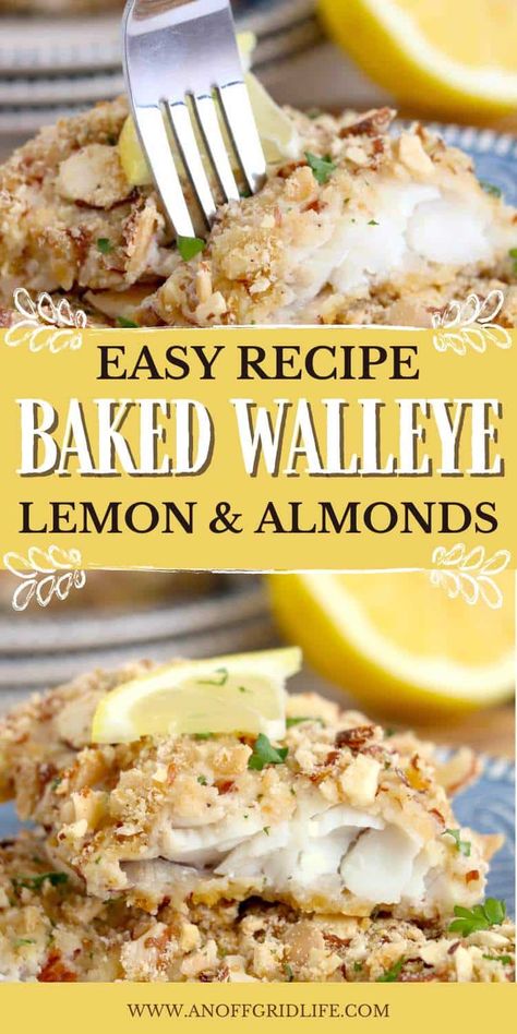 Need baked walleye recipes? Discover an easy baked walleye recipe with lemon, perfect for a healthy, flavorful meal. Simple ingredients, full of taste. Baked Pickerel Recipes, Baked Walleye Recipes, Grilled Walleye Recipes, Pickerel Recipes, Walleye Fish Recipes, Walleye Recipes, Healthy Weeknight Meals, Baked Fish, Oven Recipes