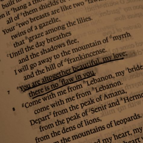 Song of Solomon 4:7 One of my favorite verses!! Solomon 1:16, Song Of Solomon 4:7 Aesthetic, Song Of Solomon Aesthetic, Song Of Solomon 2:16, Songs Of Songs Bible Verses, Song Of Songs 4:7 Tattoo, Song Of Solomon Verses, Songs Of Songs Bible, Solomon 4:7 Tattoo