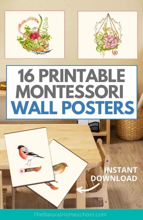 Montessori Classroom Wall Decor Ideas, Montessori Classroom Decor, Montessori Wall Art, Montessori Infant Room, Montessori Shelf, Montessori Environment, Wall Decoration Ideas, Homeschool Room, Homeschool Tips