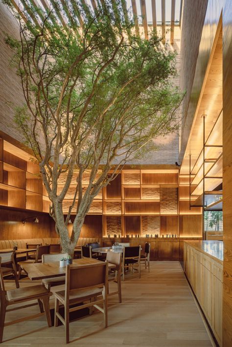 Biophilic Restaurant, Entrance Restaurant, Commercial Entrance, Restaurant Designs, Manhattan Restaurants, Architecture Elevation, Pet Resort, Summer Deco, Architectural Practice