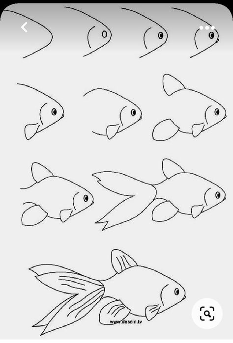 Easy Fish Drawing, Coral Drawing, Ocean Drawing, Sea Drawing, Drawn Fish, Fish Drawing, Perspective Drawing Architecture, Draw Easy, Nature Sketch