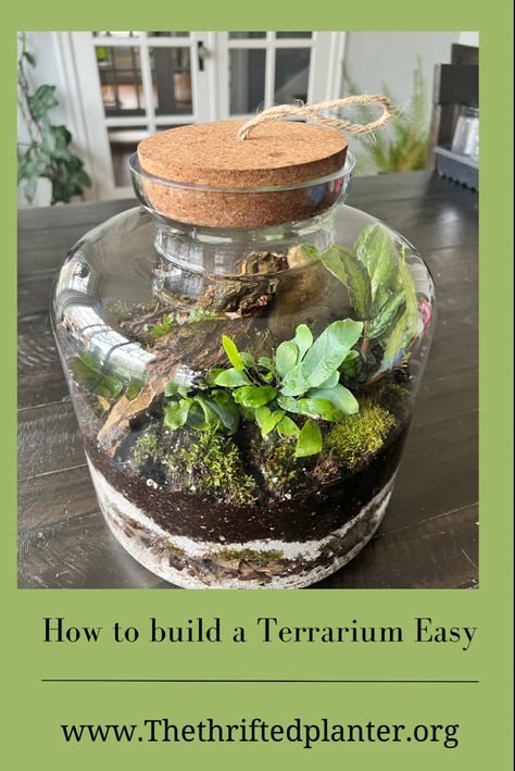 Closed Terrarium Stacked Terrarium, Houseplant Styling, Indoor Plant Hacks, Moss Terrariums, Terrarium Closed, Best Terrarium Plants, Closed Terrarium Plants, Tabletop Terrarium, Terrarium Scene