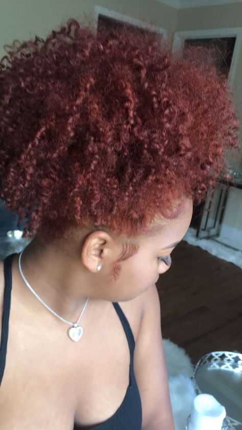 Curly Hair Red Dye, Black Girls With Dyed Hair Natural, Natural Hair Dyed Red Black Women, Wine Red Curly Hair Dyed, Curly Dyed Hair Natural Curls Pink, Red Dye On 4c Hair, Curly Dyed Hair Natural Curls, Dyed Curly Hair, Honey Brown Hair