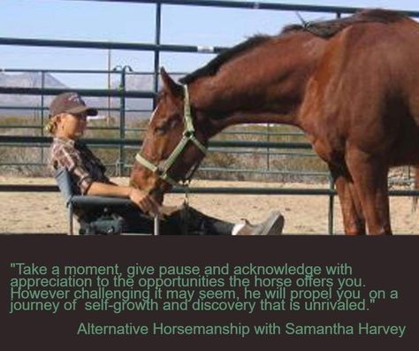 Alternative Horsemanship with Samantha Harvey Remote Horse Coach quote Horsemanship Quotes, Samantha Harvey, Barrel Racing Tips, Horse Behavior, Show Jumping Horses, Training Quotes, Equestrian Problems, Horse Ideas, Natural Horsemanship