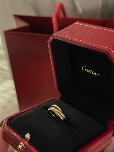 Trinity Ring, Diamond Jewelry Set, Cartier Panthere, Luxe Jewelry, Cartier Jewelry, Classy Jewelry, Dream Engagement Rings, Dream Engagement, Expensive Jewelry