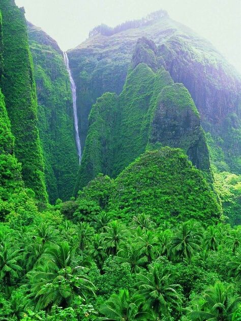 Nuku Hiva island Nuku Hiva, Tahiti French Polynesia, Marquesas Islands, Waterfall Landscape, Waterfall Photography, French Polynesia, Beautiful Places In The World, South Pacific, Pacific Ocean