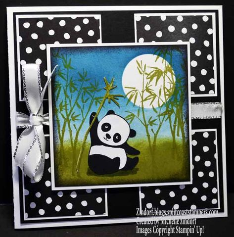 Dragonfly Birthday, Panda Card, Asian Cards, Stampin Up Card, Panda Party, Bear Card, Card A, Stamping Up Cards, Animal Cards