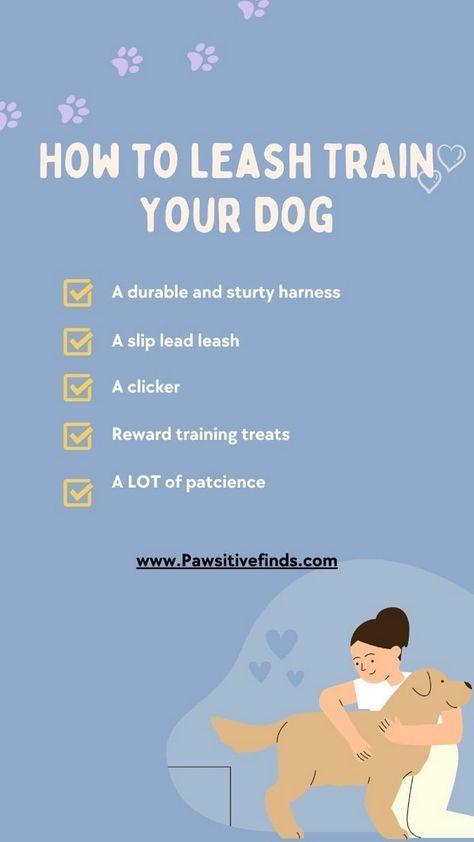 Step-by-step guide on training your dog to open and close doors, a useful and impressive skill that can also provide mental stimulation. Training A Puppy, New Puppy Checklist, Gem Tattoo, Durable Dog Toys, Notes Ideas, Therapy Animals, Leash Training, Pet Advice, Train Your Dog