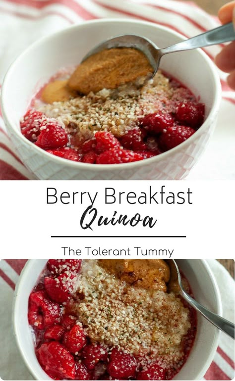 High Fiber Oatmeal, Oatmeal Alternative, Low Carb Vegan Breakfast, High Protein High Fiber, Breakfast Quinoa, Healthy Breakfast Recipe, Chocolate Breakfast, Berry Breakfast, Quinoa Breakfast