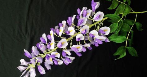 Liked on Pinterest: How To Make Wistaria Flower From Crepe Paper - Craft Tutorial Paper Wisteria, Mexican Petunia, Orchid Phalaenopsis, Crepe Paper Crafts, Wisteria Flower, Mimosa Flower, Tissue Flowers, Paper Flower Wall Decor, Moth Orchid