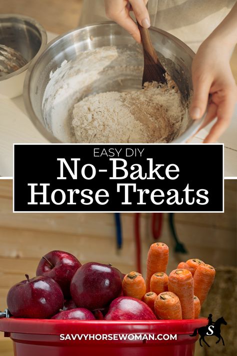 Give your horse the healthy boost they deserve with these easy no-bake treats! Loaded with natural supplements, they're perfect for maintaining coat shine, supporting seniors, or helping hard keepers. 🍎 #HorseLovers #EquestrianLife #DIYHorseTreats Carrot Horse Treats, Baked Horse Treats, How To Make Horse Treats, Diy Horse Treats Recipes, Homemade Horse Treats Recipes, No Bake Horse Treats, Horse Treats Recipe Easy, Diy Horse Treats, Horse Treats Recipe