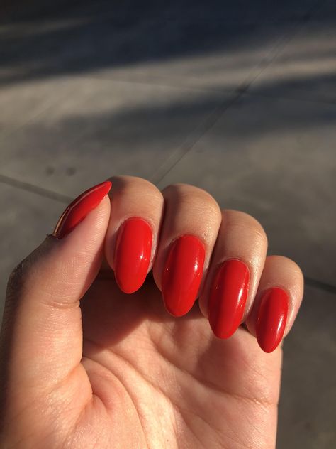 Orangey Red Nails, Blood Orange Nails, Nails Red Orange, Orange Red Nails, Fall Nails Red, Acrylic Nails Red, Red Orange Nails, Bright Orange Nails, Cute Red Nails