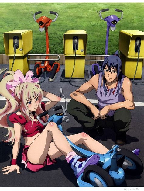 Satelight, Macross Frontier, Sheryl Nome Final Visual Collection, Sheryl Nome, Alto Saotome Sheryl Nome, Macross Frontier, Japanese Animation, Space Opera, Kamen Rider, Gundam, Hibiscus, Geek Stuff, Fruit