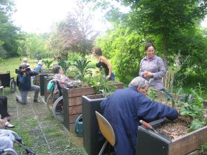 TERRAform, a planter box for gardeners in wheelchairs - Horticultural Therapy Institute Community Garden Ideas, Therapy Garden, Gardening Therapy, Accessible Garden, Horticultural Therapy, Accessible Home, Horticulture Therapy, Community Gardens, Healing Garden