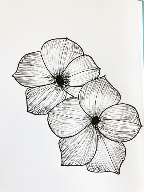 Plant Drawing Doodles, Petunia Flower Tattoo, Drawing For Journaling, Simple Botanical Drawings, Easy Floral Doodles, Journaling Simple, Step By Step Doodles, Botanical Doodles, Petunia Flower