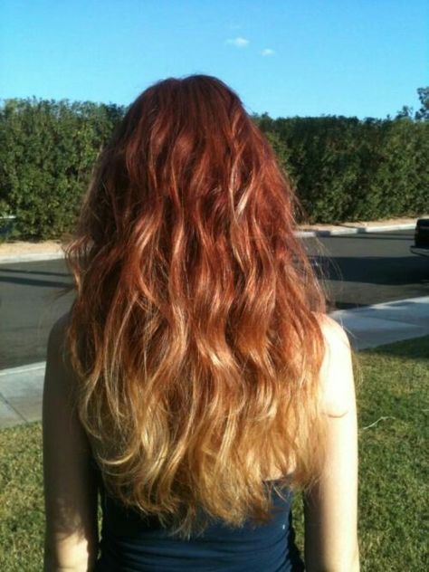 Ginger and blonde ombre Red Blonde Ombre Hair, Red Black Hair, Ginger Ombre, Ombre Hair Color Ideas, Strawberry Blond, Best Ombre Hair, The Right Hairstyles, Black Red Hair, Red Ombre Hair