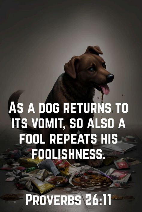 As a dog returns to its vomit, so also a fool repeats his foolishness. Proverbs 26:11 CSB Proverbs 26 11, Proverbs 26, Audio Bible, Daily Bible Reading, Bible Versions, Verses Quotes, Bible Verses Quotes Inspirational, Favorite Bible Verses, Reading Plan