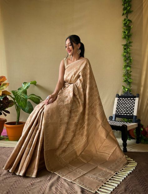 Copper Saree, Formal Saree, Western Dresses For Women, Wedding Lehenga Designs, Maxi Dress Designs, Modern Saree, Traditional Indian Dress, Saree Poses, Desi Fashion Casual