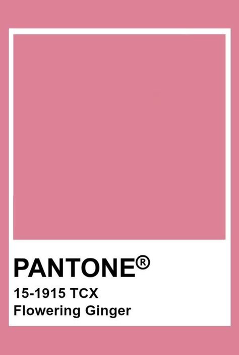 Dusty Pink Pantone, Pantone Rosa, Pink Pantone, Drawing Notes, Colourful Things, March Dresses, Pantone Color Chart, Pantone Palette, Pantone Colour Palettes