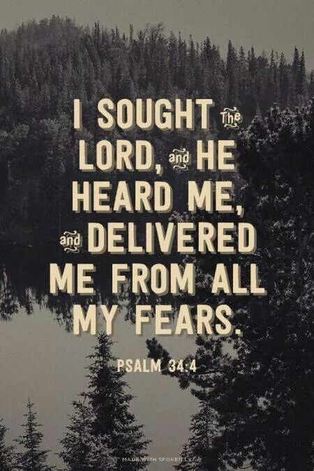 He delivered me from all my fears Bible Verses About Fear, Verses About Fear, Psalm 34 4, A Bible Verse, Psalm 34, After Life, The Perfect Guy, Scripture Quotes, Verse Quotes