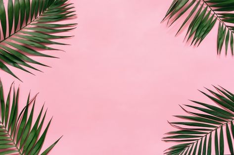 Tropical palm leaves on pastel pink back... | Premium Photo #Freepik #photo #jungle-plants #palm-leaf #jungle-frame #tropical-palm Pastel Pink Background, Photo Walls, Tropical Palm Leaves, Tropical Wallpaper, Fabric Wall Art, Tropical Blue, Macbook Wallpaper, Background Wall, Tropical Palm