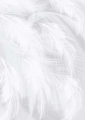 White Feather Background, Feathers Background, Peacock Feather Wedding, Fur Background, Wedding Background Wallpaper, Feather Background, Mosaic Furniture, Dance Background, Feather Bird