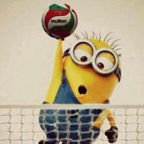 Volleyball Images, Volleyball Photography, Volleyball Memes, Volleyball Wallpaper, Volleyball Photos, Volleyball Poses, Volleyball Humor, Volleyball Inspiration, Volleyball Workouts