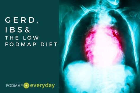 GERD, IBS and the Low FODMAP Diet Ibs Foods To Eat, Bile Reflux, Recipes For Ibs, Gerd Friendly Recipes, Gerd Friendly, Low Residue Diet, Gerd Recipes, Ibs Fodmap, Ibs Relief