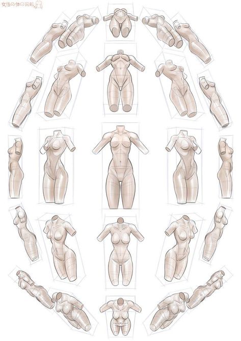 Torso Perspective Reference, Anatomy Poses Perspective, Different Body Perspectives, Woman Perspective Pose Drawing, Drawing Body Poses Perspective, Body Perspective Reference From Below, Nyphms Drawing, Torso In Perspective, Anime Torso Reference