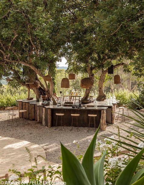 Bar Around Tree, Stones Around Tree, Table Around Tree, Table Under Tree, Farmstay Design, Backyard Farm Ideas, Tulum Inspired Backyard, Tree In House, Natural Restaurant