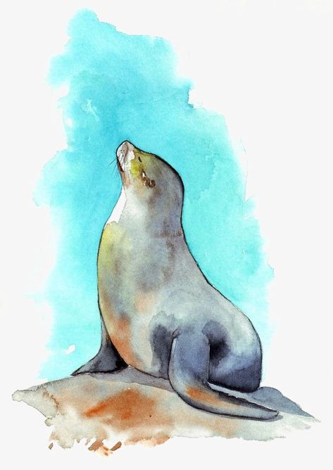 Sea Lion Art, Seal Clipart, Seal Painting, Paper Paintings, Aquatic Creatures, Lion Painting, Castle Art, Diy Watercolor Painting, Watercolor Projects