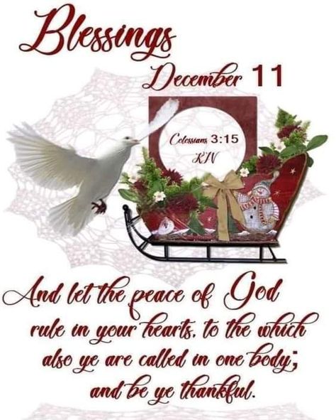 Hello December Images, December Scriptures, New Month Wishes, Advent Prayers, December Images, Best Christmas Wishes, Christmas Verses, Christmas Scripture, Christmas Bible Verses