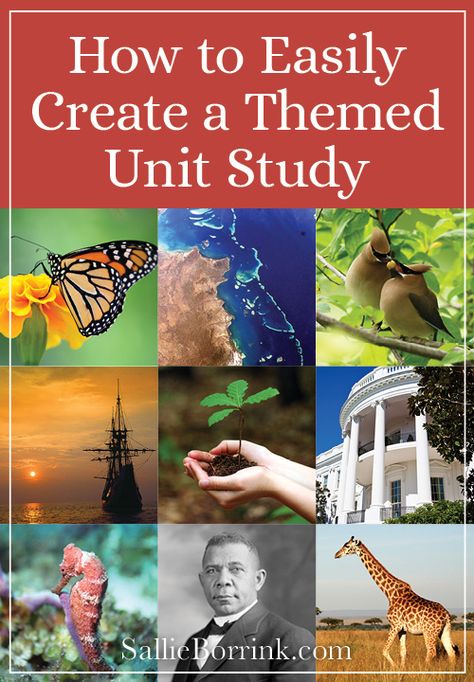 Teaching Us History, Study Printables, Relaxed Homeschooling, Summer Homeschool, Unit Studies Homeschool, Free Homeschool Curriculum, American History Lessons, Homeschool Education, How To Start Homeschooling