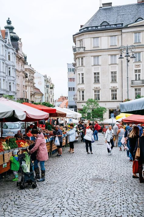 The inside guide to Brno, the Czech Republic's quirky second city Brno Czech Republic, Dig Deeper, Brno, Beer Garden, Uk Travel, Animals Of The World, City Travel, Study Abroad, Walking Tour