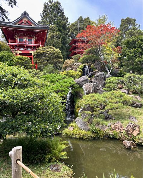 📍Japanese Tea Garden 🍵🪴🇯🇵🇺🇸 A cute little garden in the heart of San Francisco . . . . #japanese #japan #japaneseteagarden #teagardens #sanfrancisco #sf #california #garden #travel #travelblogger #discoverunder1k Japanese Garden San Francisco, San Francisco Japanese Tea Garden, Japanese Tea Garden, California Garden, Tea Garden, San Fran, Little Garden, Japanese Tea, Japanese Garden