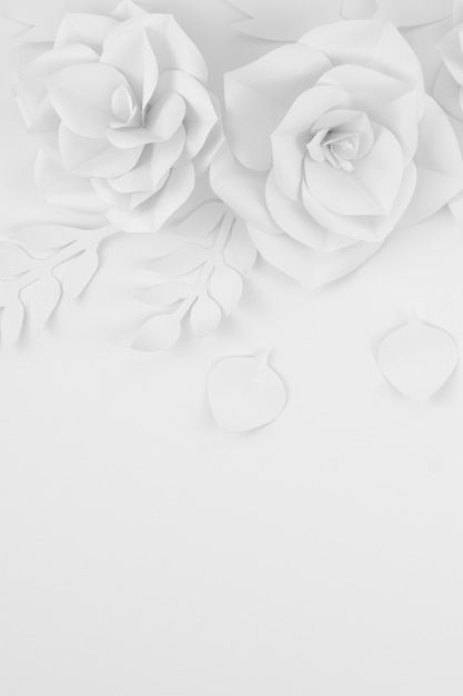 Message Background, Flowery Background, Iphone Wallpaper Lights, Background Pics, Background Images Free Download, Beauty Background, Paper Background Design, Rose Background, Invitation Background