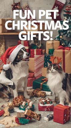 Cute Easy Gift Ideas, Stuff For Dogs, Easy Christmas Gift Ideas, Easy Gift Ideas, Pet Cam, Easy Pets, Christmas Gifts For Pets, Mini Pigs, Pet Christmas