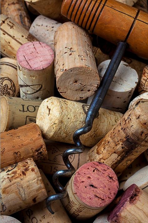 Kino Box, Wine Photography, Wedding Wine, Wine Corks, Wine Art, Wine Cheese, Wine Wedding, Wine Opener, Italian Wine