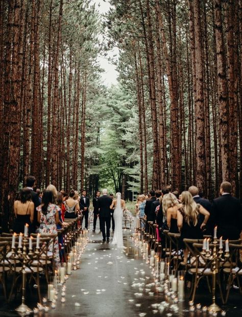 Intimate Torch Lake Wedding in the Woods. Forest Green Wedding, Twilight Wedding, Torch Lake, Forest Theme Wedding, Enchanted Forest Wedding, Stil Boho, Fairy Wedding, Forest Theme, Future Wedding Plans