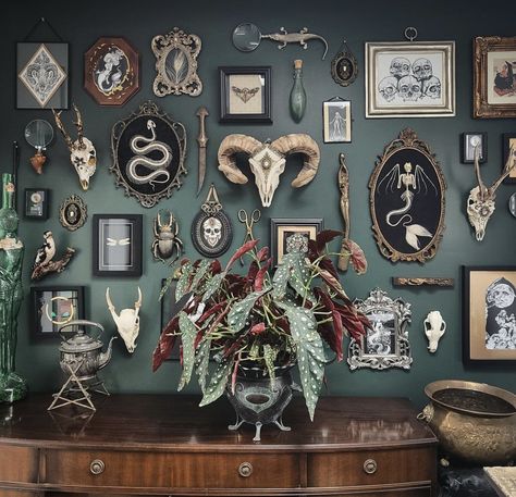 Oddities Decor, Moody Decor, Gothic Boho, Witchy Home, Dark Decor, Goth Home Decor, Goth Decor, Goth Home, Dark Home Decor