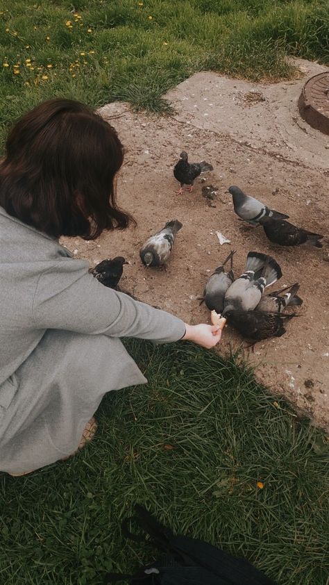 Hand feeding pigeon Feeding Birds Photography, Animal And Human Photography, Feeding Birds Aesthetic, Pigeons Aesthetic, Pigeons Photography, Pigeon Aesthetic, Mphfpc Aesthetic, Jess Aesthetic, Aj Aesthetic