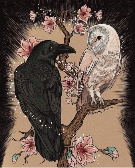 Raven And Owl, Pocket Love, Love Oracle, Arte Peculiar, Black Birds, Oracle Deck, Arte Sketchbook, Desktop Backgrounds, Card Collection