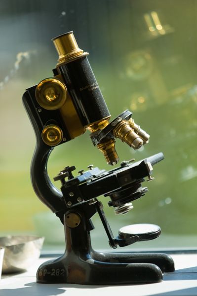 Person Using Microscope, Vintage Microscope, Optical Microscope, Microscopes, Laboratory Design, Magnifying Lens, Lab Equipment, Telescopes, Microbiology