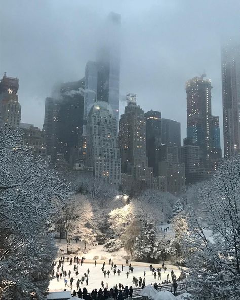 Lighting Stores in New York: The City Of Dreams Light Up For You Nyc Must Do Winter, Winter In Nyc Aesthetic, Nyc In Winter, Winter In Nyc, Ny Winter, Winter In The City, Christmas In Nyc, Christmas Nyc, Cold Christmas