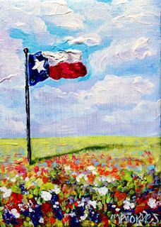 Texas Flag Painting, Texas Painting Ideas On Canvas, Texas Painting Ideas, Train Mural, Texas Quilts, Texas Painting, Texas Wildflowers, Flag Drawing, Door Painting